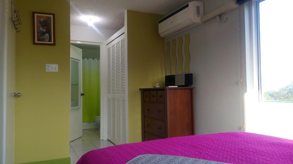 Hylton New Kingston Apartment Phòng bức ảnh